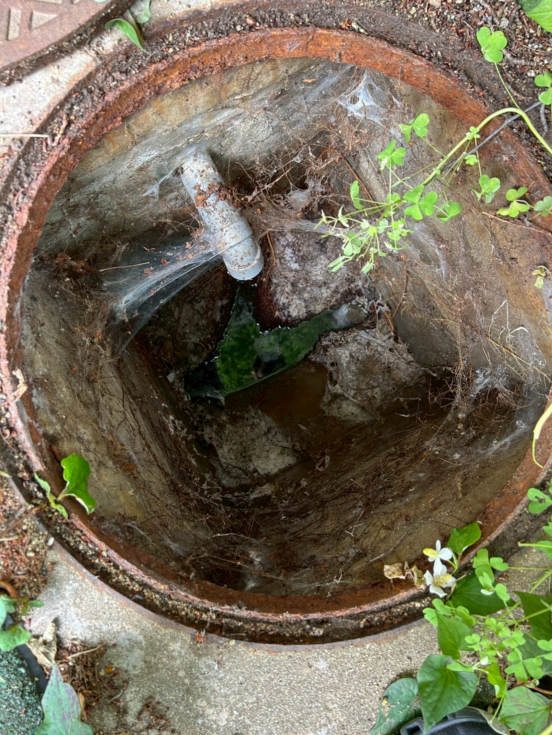 大阪市にて介護施設のトイレ詰まり除去・排水桝洗浄の施工前写真