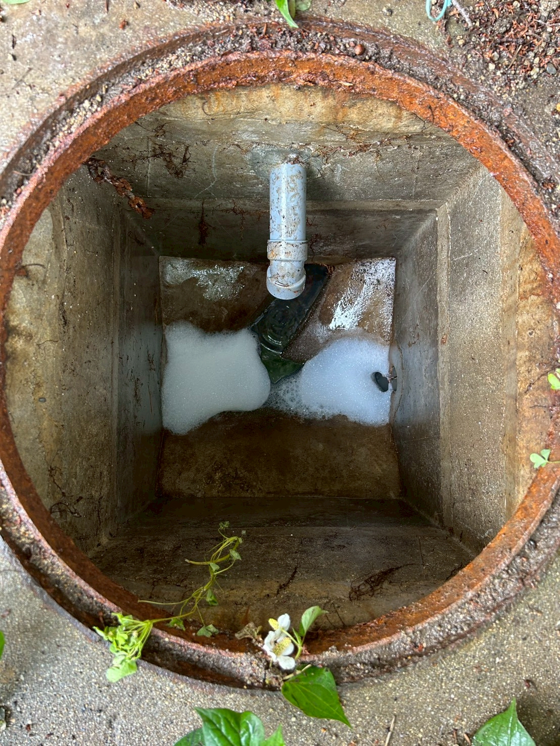 大阪市にて介護施設のトイレ詰まり除去・排水桝洗浄の施工後写真